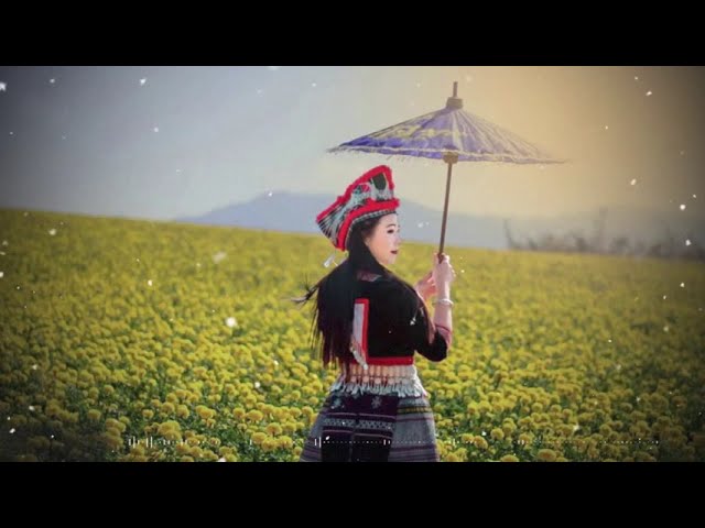 เพลงม้งเพราะๆ (100) HMONG MUSIC #เพลงม้งเก่าๆ