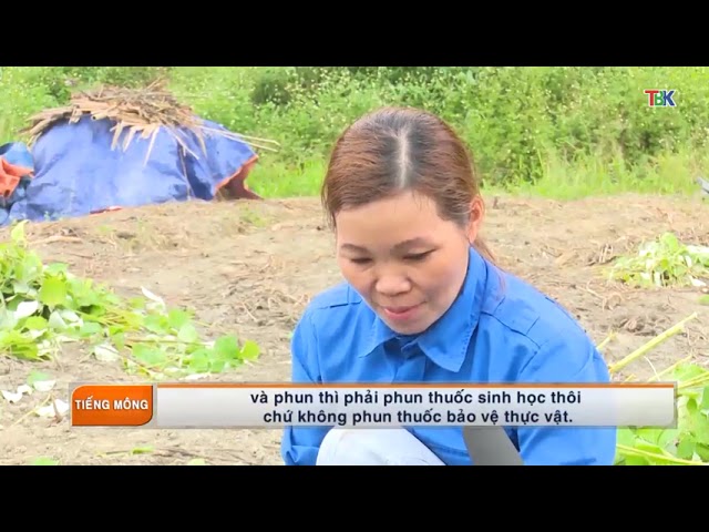 26-01 Chương trình tiếng Mông. ”backantv.vn”