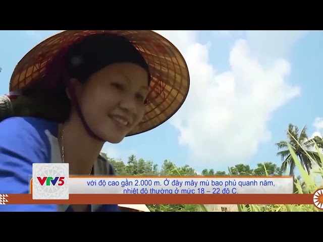 [TIẾNG MÔNG] DU LỊCH XANH – XU HƯỚNG PHÁT TRIỂN BỀN VỮNG Ở XỨ THANH | VTV5