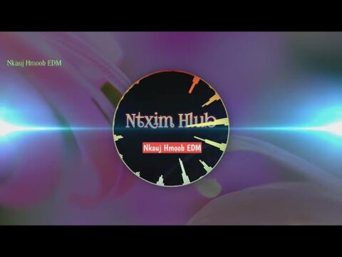 Ntxim Hlub Remix - pana lee, lady her, KaKar Lee || Nkauj Hmoob EDM (Nkauj Tik Tok hot 2022)