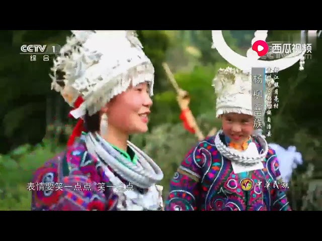 Two Bird Tribes; Central and West Hmong