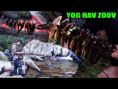 Full Mus Yog Hav Zoov Muab Ntses Noj | Hmong people Survive in the forest with fish | Hwv Hawj VNTV