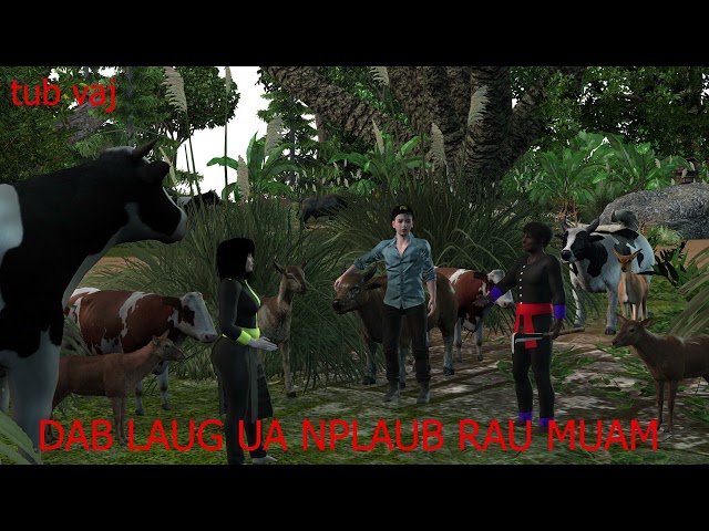 Dab laug tso dab tom muam tus tub tuag_The Hmong Shaman Warrior