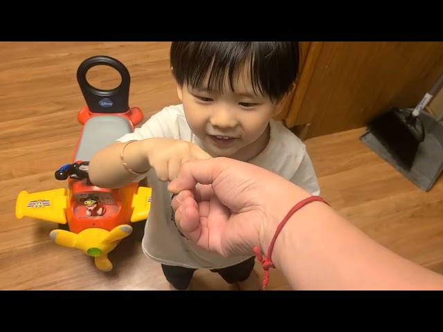 hmong dish…nqaij npua xyaw zaub kav ntswj