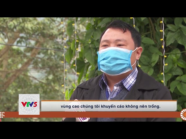 [TIẾNG MÔNG] PHÁT TRIỂN LÂM NGHIỆP VÙNG ĐỒNG BÀO DÂN TỘC THIỂU SỐ | VTV5