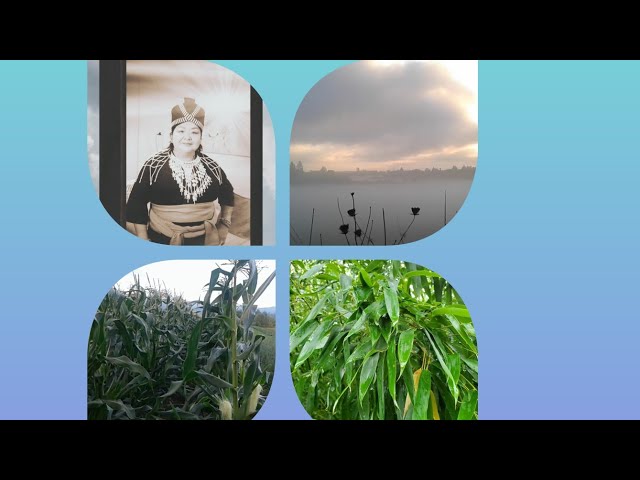 KWV TXHIAJ SUAB RAJ, nco wb swm nkauj nraug thaum ub