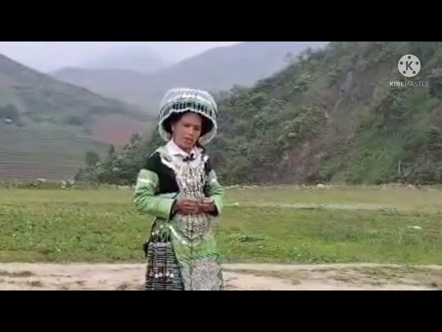 nqeb yaj hais kwv txhiaj mob dub