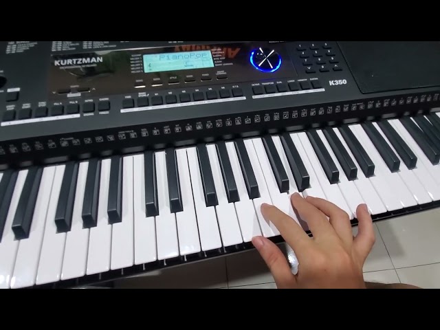 Demo lub organ K350 Thoob Ham – Hmong Music Shop 0836200093