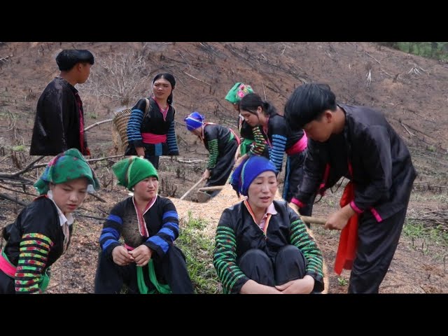 me nyuam tsaub lub kua muag part02 the hmong news 24/4/2022