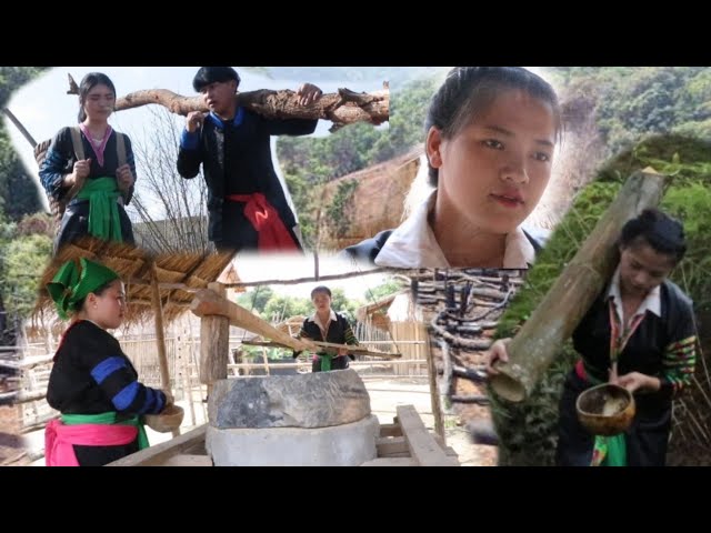 me nyuam tsaub lub kua muag part03 the hmong news 25/4/2022