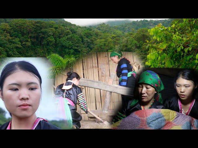 me nyuam tsaub lub kua muag part15 the hmong news 12/5/2022