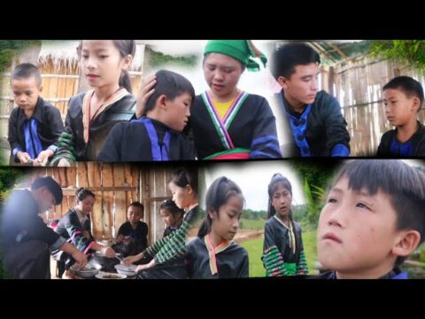 me nyuam tsaub lub kua muag part 25 the hmong news 22/5/2022
