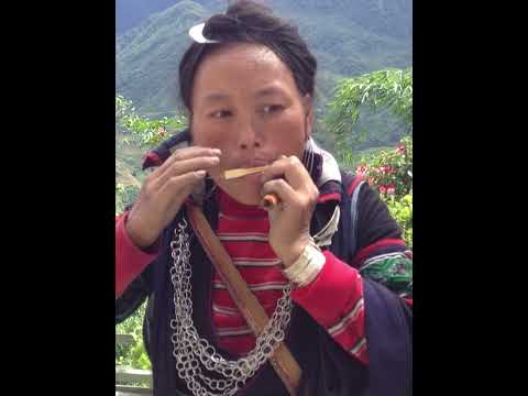 Hmong Mouth Harp music in Sapa, Vietnam 2013 #Shorts