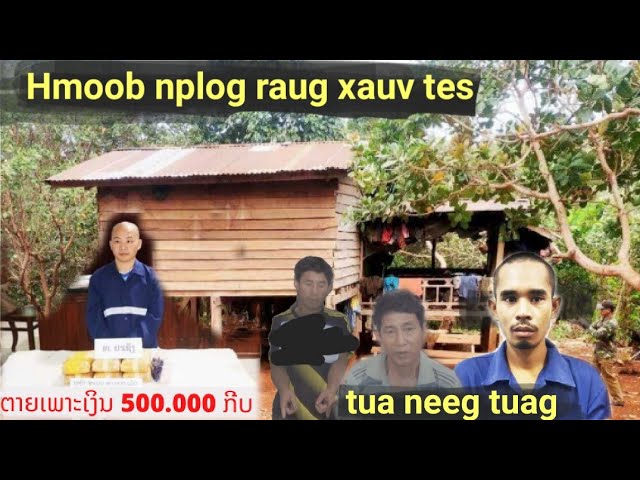 Xov xwm 02/06/2022  Hmoob Nplog Tuag Rau 500,000 Kip, Vwm Nees Tua Neeg Tuag