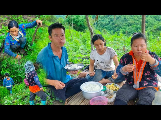 Hmoob Txoj Kev Khwv | Peb Tiv Nag Luaj Qos Ntoo 【6/8/2022】