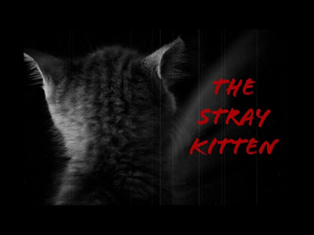 The Stray Kitten (TRUE Scary Hmong Ghost Story told in English) - TalesfromTheAbyss87
