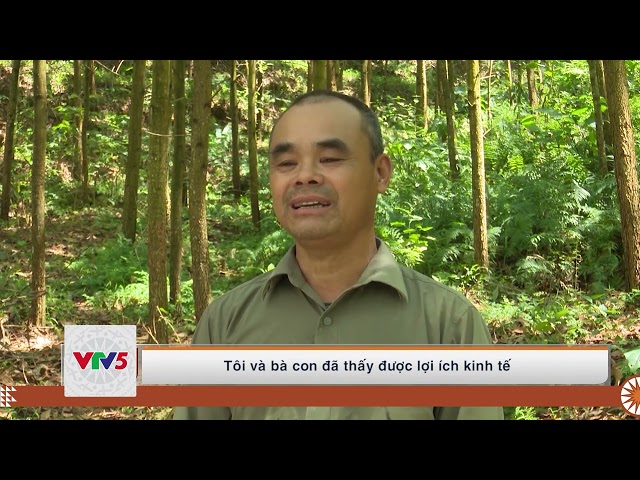 [TIẾNG MÔNG] MƯỜNG MEN TĂNG CƯỜNG CÔNG TÁC QUẢN LÝ BẢO VỆ RỪNG | VTV5