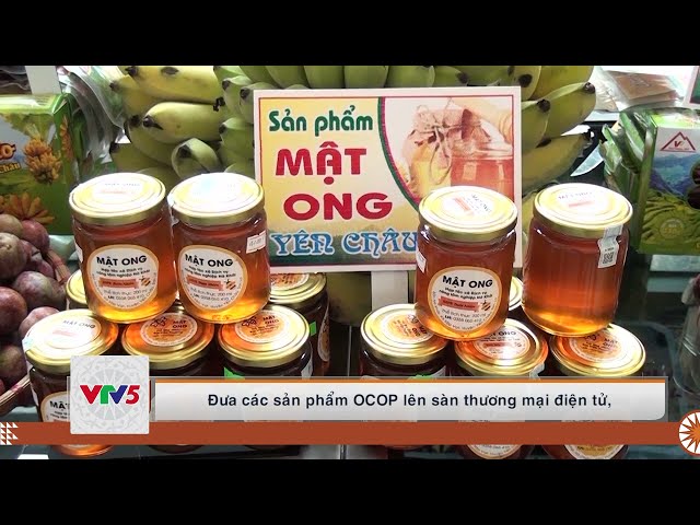 [TIẾNG MÔNG] CHƯƠNG TRÌNH MỖI XÃ MỘT SẢN PHẨM HƯỚNG ĐẾN NÔNG THÔNG MỚI BỀN VỮNG | VTV5