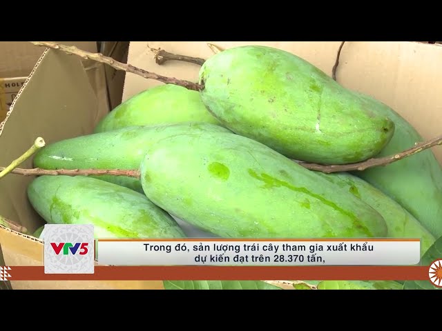 [TIẾNG MÔNG] SƠN LA CHỦ ĐỘNG KẾT NỐI TIÊU THỤ NÔNG SẢN | VTV5