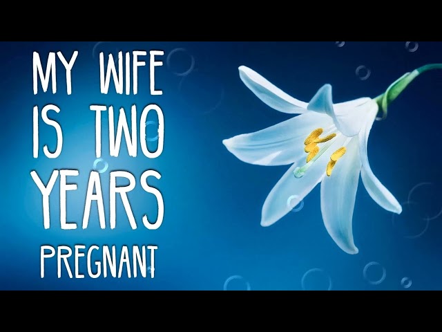 Hmong Story-My Wife is Two Years Pregnant