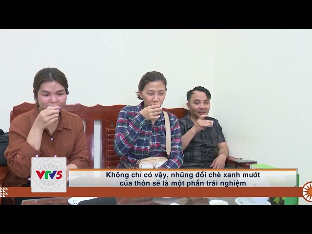 [TIẾNG MÔNG] PHÁT TRIỂN CÂY CHÈ Ở BẮC KẠN | VTV5