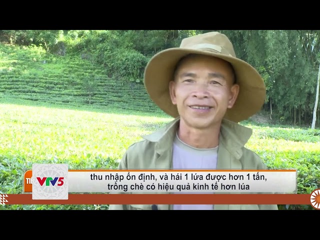 [TIẾNG MÔNG] TAM ĐƯỜNG XÓA ĐÓI GIẢM NGHÈO TỪ PHÁT TRIỂN NÔNG NGHIỆP VÀ CHĂN NUÔI | VTV5