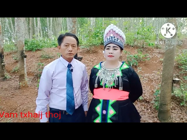 vam txhaij thoj thiab paj dib vaj kwv txhiaj nkauj nraug koj mus kv nyob 17/7/2022