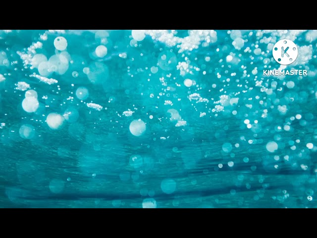 tsom xyooj koj siab Dub