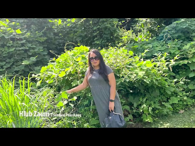 Hlub Zaum 2 Seb Neej Puas Kawg. 8/15/2022