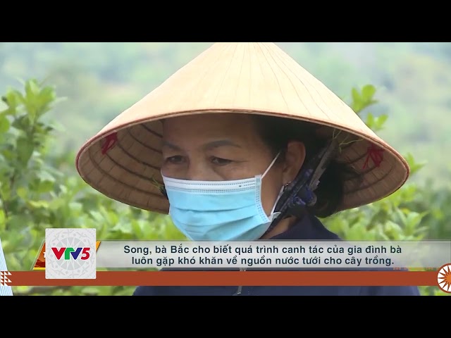 [TIẾNG MÔNG] PHÁT TRIỂN NÔNG NGHIỆP TÂY NGUYÊN BỀN VỮNG | VTV5