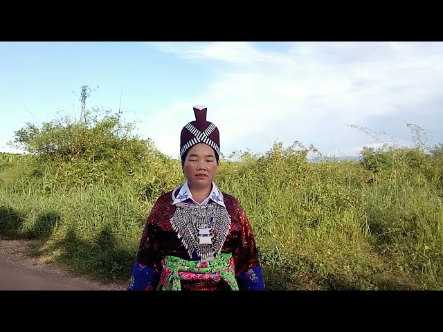 rhia xyooj kwv txhiaj koj mus ntaus  teb chaw tu siab heev