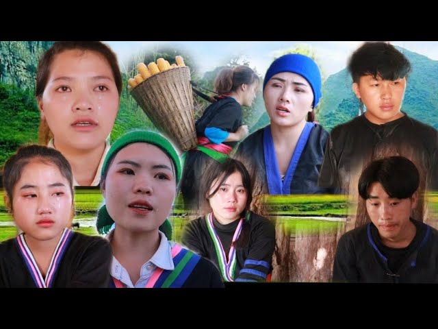 me nyuam tsaub lub kua muag part100 hmong news30/8/2022