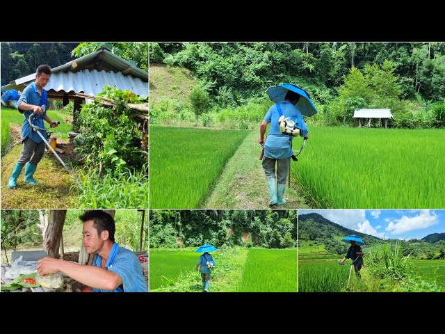 Hmong Life In Viet Nam | Luaj Ntswg Liaj【9/3/2022】