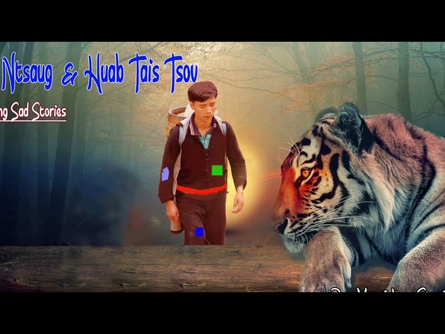 Hmong sad story | Tub ntsuag & Huab tais tsov (ntsuag ciaj xeev laus ) 7/9/2022