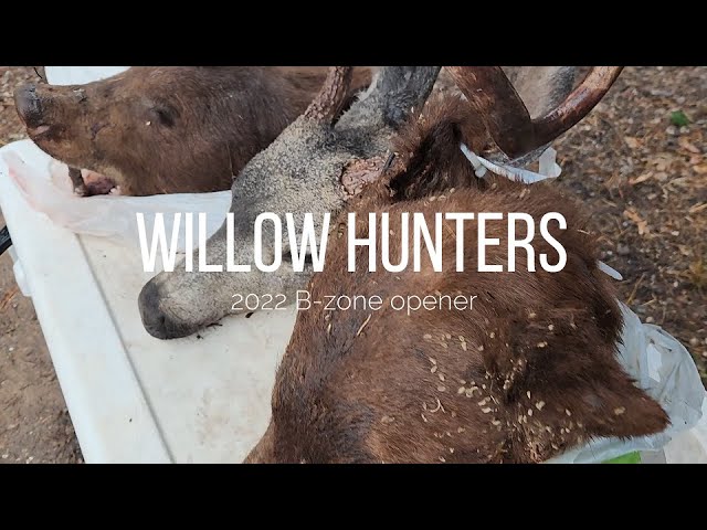 Hmong California Hunting 2022