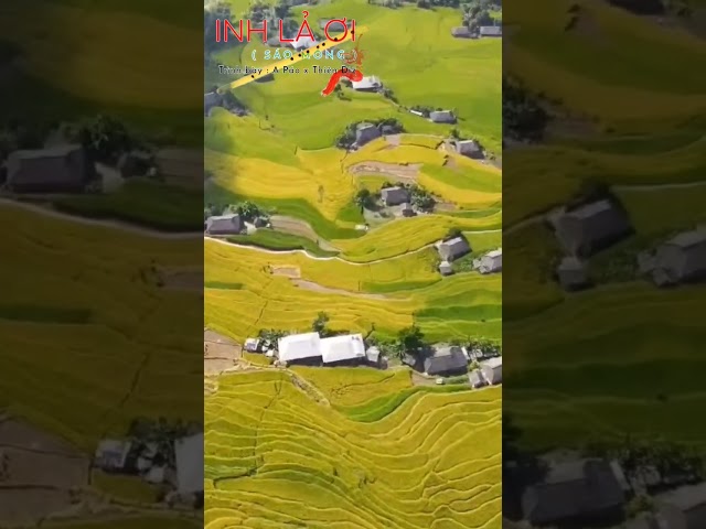 Inh Lả Ơi tiếng sáo mông A Páo vang trên Ruộng Bậc Thang Bản Phùng 2022 | #Shorts
