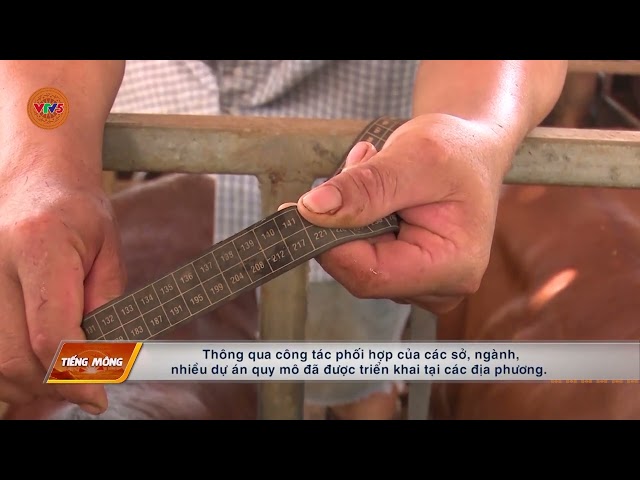 [TIẾNG MÔNG] AN SINH XÃ HỘI – TRỤ CỘT PHÁT TRIỂN BỀN VỮNG | VTV5