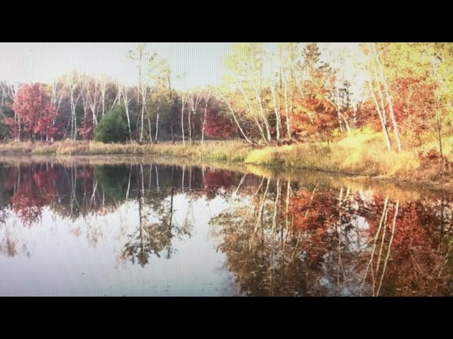 LAND OWNED BY HMONG: Hmong Wisconsin Owned This Beautiful 80 Acres with an Island In Neillsville, WI
