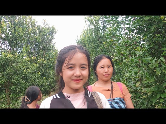 me ntxhais paj ntaub peb mus noj maj kiab os