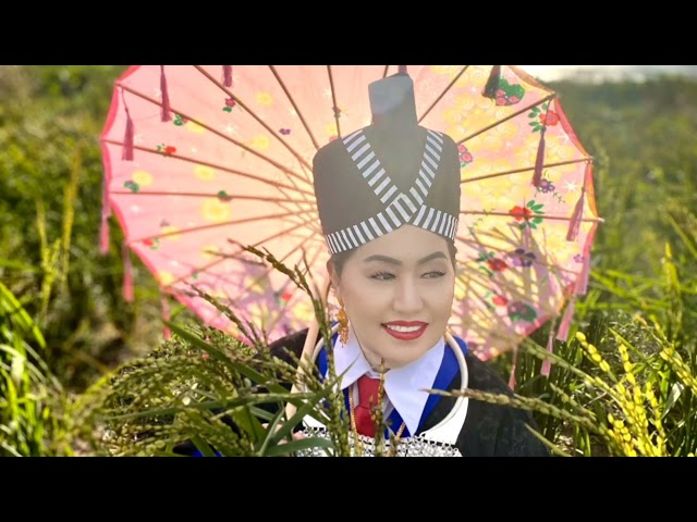 Nkauj Hli Yaj Kwv Txhiaj  Nuj Tee Tub Txawj  Qeeg 11/22/2022