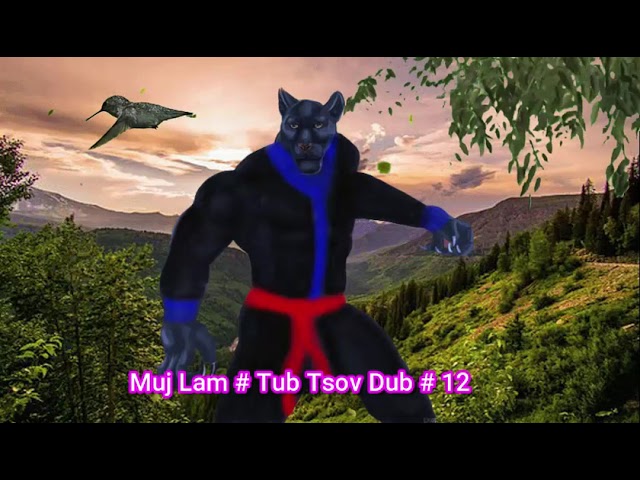 Muj Lam # Tub Tsov Dub # Part 12 Hmong Action story # 30  11  2022