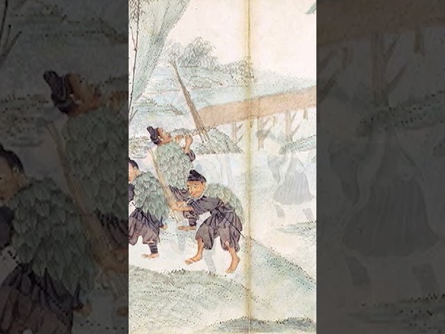 Traditional Hmong Bamboo Flute | Courting Girls | Tshuab Raj Mus Tham Hluas Nkauj #shorts #flute