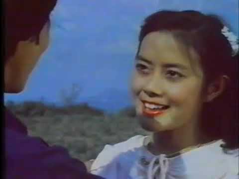 Lis Ceeb thiab Maiv Xis