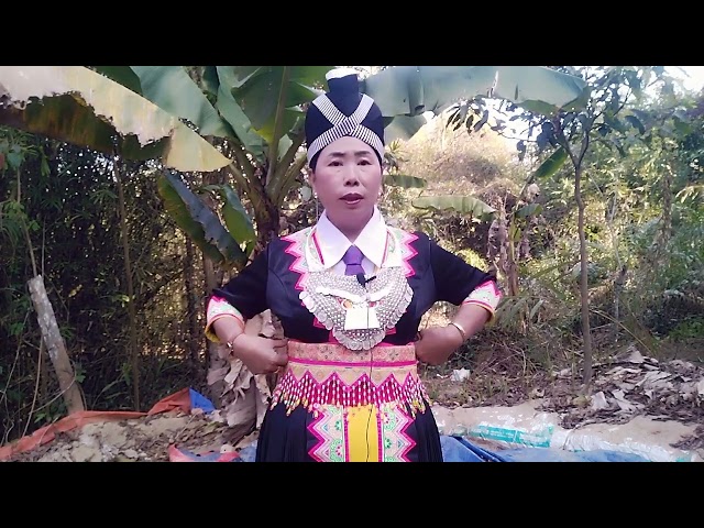 rhia kwv txhiaj tntxhais mus ua nyab 2/2/2023