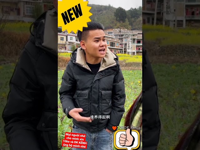 funy nrau hmoob zoob nrau #hmong