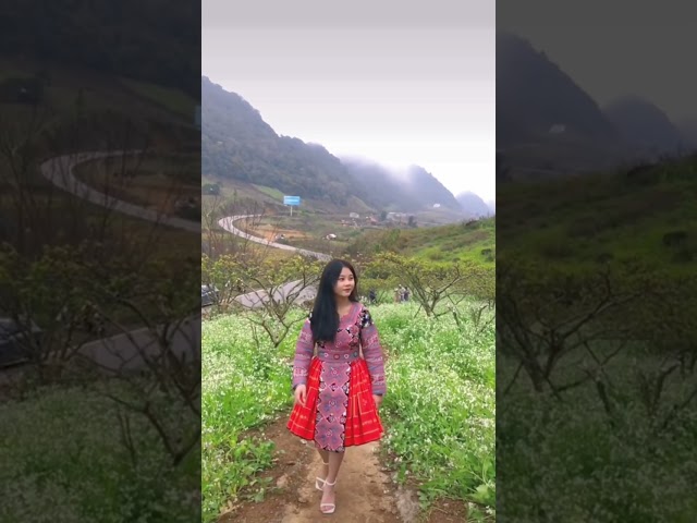 Vẻ hồn nhiên của Thiếu nữ dân tộc hmong ở Sơn La