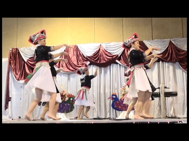 Hmong new year 2014-23