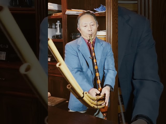 Qeej miv xub miv noob nrws miv pluag #qeej #hmong  #hmongmusic #musical #songs #shorts #shortsvideo