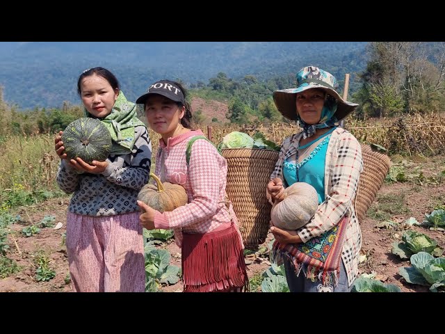 coj cov nyab peb mus thua nroj cog tau pob kws ntau kawg li