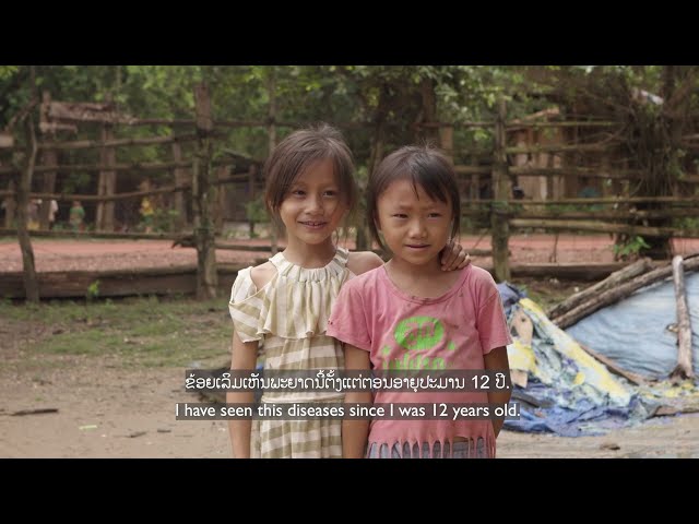 World Health Organization – IMMUNIZATION Measle Hmong community